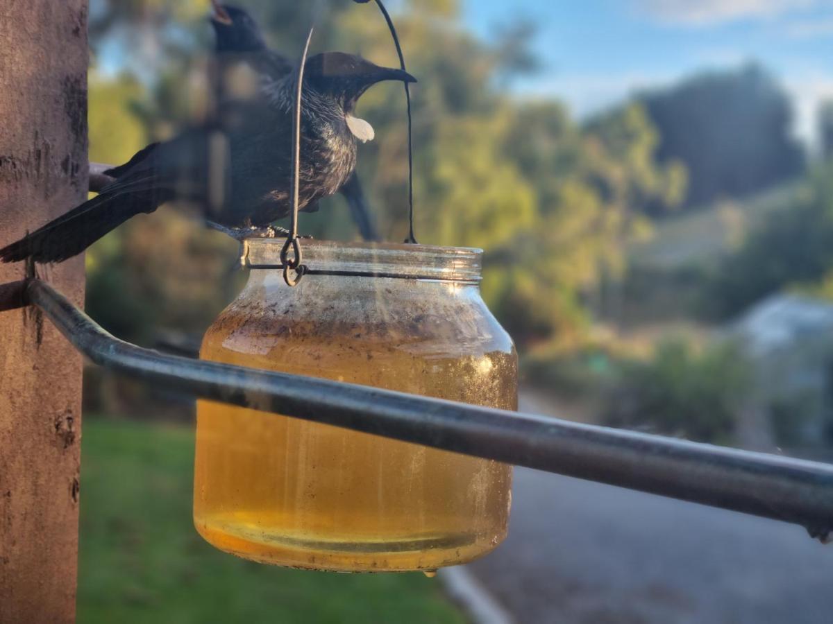 Catlins Lake Sanctuary Owaka Екстер'єр фото